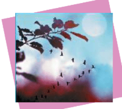 Задание рисунок 1